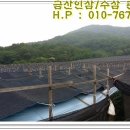 금산 활력의집 네이버블로그