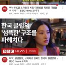 와이지피디
