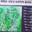 깃대봉_숲길(등산)1코스 이미지