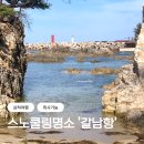 삼척스노쿨링명소 갈남항! 취사부터 바베큐, 카페까지 한 번에