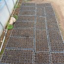 한길농장 이미지