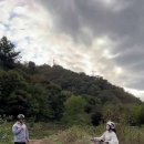 팀더블유 이미지