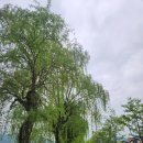 옹기장터 | [충주 여행] 충주맨 인정. 뻔한 코스 피한 충주 2박 3일 후기