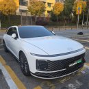 캘리그래피 | 그랜저 하이브리드 캘리그래피 재계약 후기