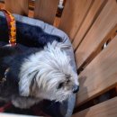 우리닭갈비 이미지