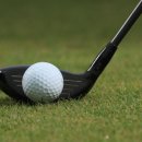 우드트랙 이미지