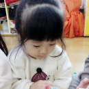 지코프