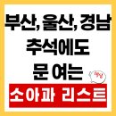 해동의료재단 | 부산, 울산 맘들 주목! 추석 연휴 응급상황 대비, 24시 소아과 및 달빛병원 총정리