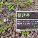 구로남초등학교