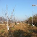 오향4리 네이버블로그