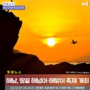 해맞이축제 이미지