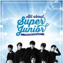 어바웃주니어