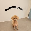 송내동1 이미지
