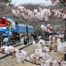 진해구 ⓒ-31 이미지