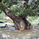 오천리경로당 이미지