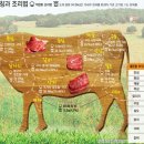 양지양만 네이버블로그