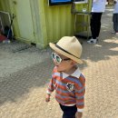 GR(양평군)-[양근로]-하-5 | 경기도 아기랑 갈만한 곳 양평 양떼목장 만족 후기 예약 방법