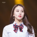 채영 카카오 검색결과