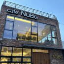 강아지공간 | 🐶 부산대 애견동반카페 카베누베 후기 | 천연잔디 야외공간 있는 강아지 카페