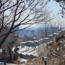 세븐일레븐 종로사직점 이미지