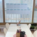 삼성영어셀레나태평로교실