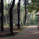 새재넘어 소조령길 마당바우구간 이미지