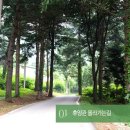 청평자연휴양림 이미지