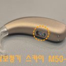 인천보청기 | 인천 포낙보청기 귀걸이형 보조금 후기