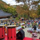 운수사 가을 국화 축제 이미지