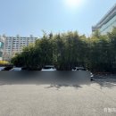 오발탄 대치점 이미지