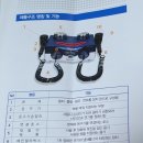 황제쑥뜸기 이미지