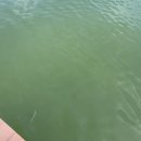 상설체험교실 이미지