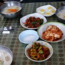 효자골 Daum카페
