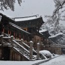 불국사 티스토리
