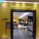 까멜리아 | [부산] 웨스틴 조선 부산 까멜리아 디너 후기(가족모임, 연말모임, 호텔 뷔페 추천)