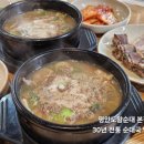전통왕순대 | 성남 분당 순댓국 맛집 평안도왕순대 본점 30년 전통 수제 순댓국 후기
