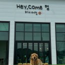 초지운동장 이미지