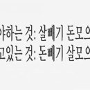 핫점핑 네이버블로그