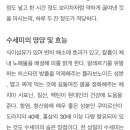 천연수세미 찬양하는 달글 이미지