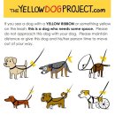 [약속 표시] Yellow Dog Project를 소개 합니다. 이미지