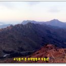 작천농장 Daum카페