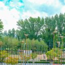 파란마음하얀마음, 어린이노래 전시 이미지