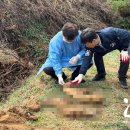 24시월드펫동물메디컬센터 이미지