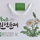 토종흰민들레식품