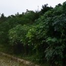 서호면사무소 이미지