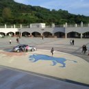 청도소싸움경기장 이미지