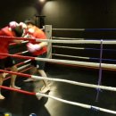 불광복싱클럽 이미지