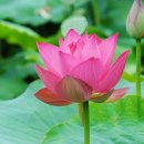 인삼랜드휴게소 이미지