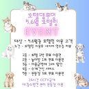 호텔델루멍 이미지