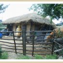 추억이머무르는곳 이미지